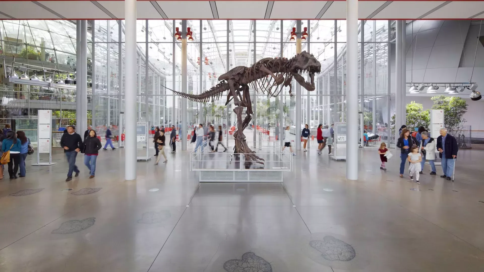 加州科学院的恐龙